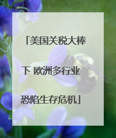 美国关税大棒下 欧洲多行业恐陷生存危机